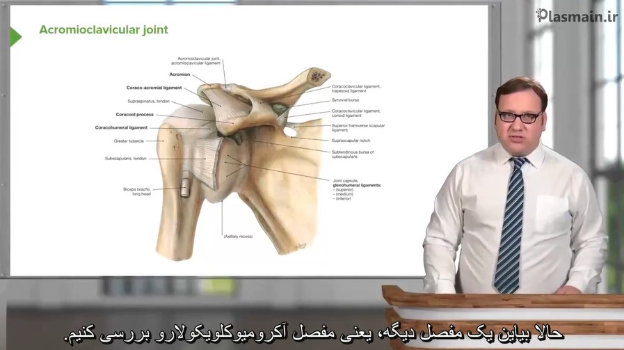 دوره آناتومی اندام فوقانی(لکچریو)